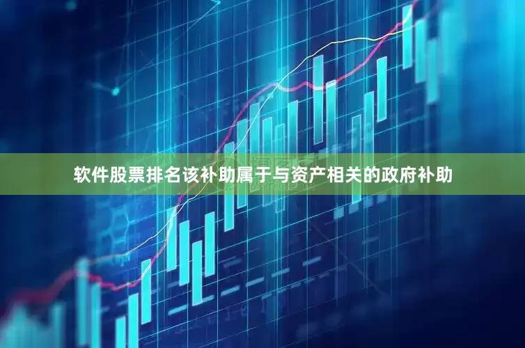 软件股票排名该补助属于与资产相关的政府补助