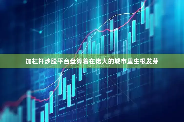 加杠杆炒股平台盘算着在偌大的城市里生根发芽