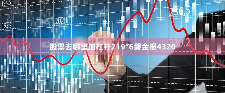股票去哪里加杠杆219*6磐金报4320