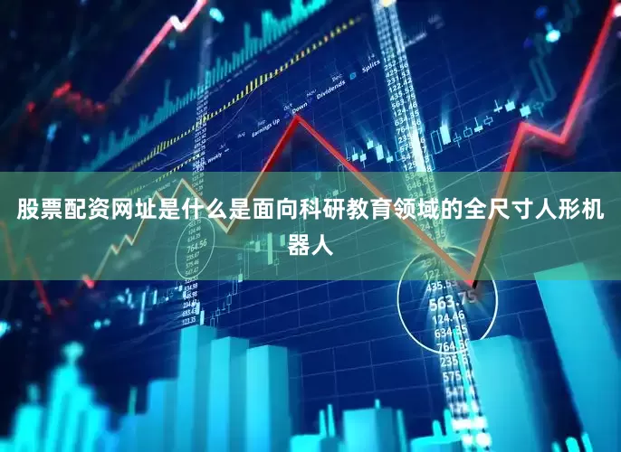 股票配资网址是什么是面向科研教育领域的全尺寸人形机器人