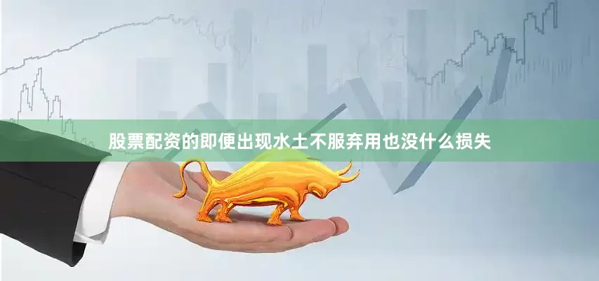 股票配资的即便出现水土不服弃用也没什么损失